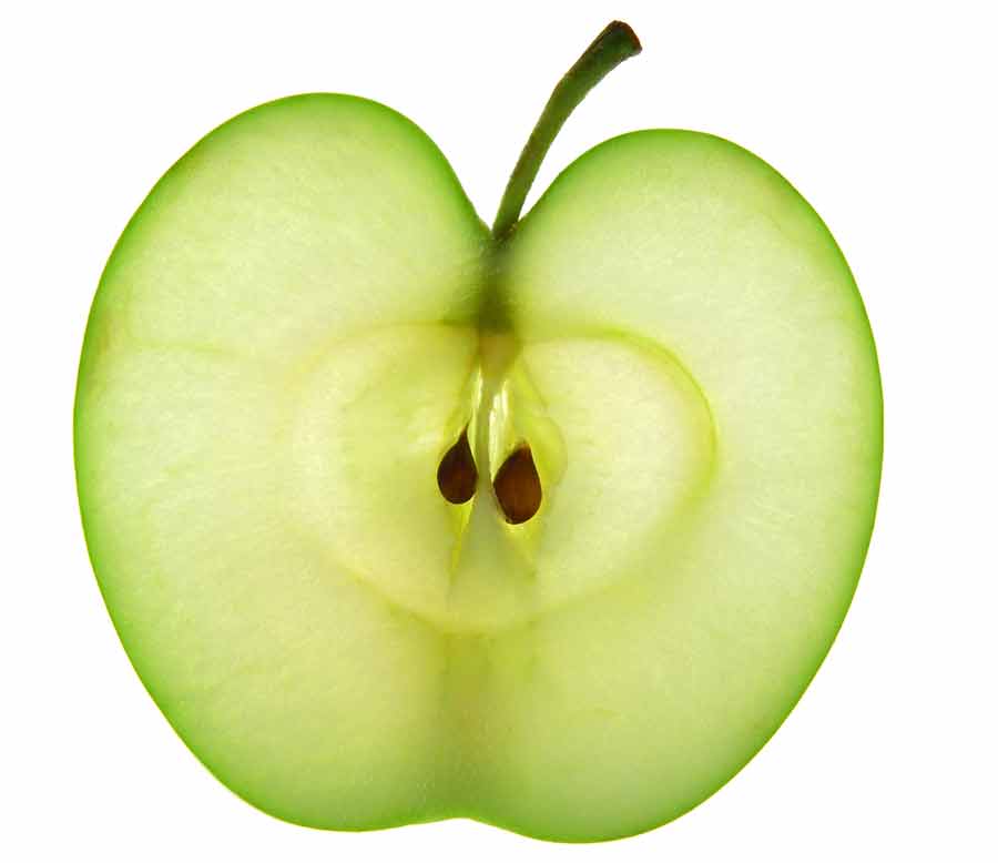 przekrój jabła